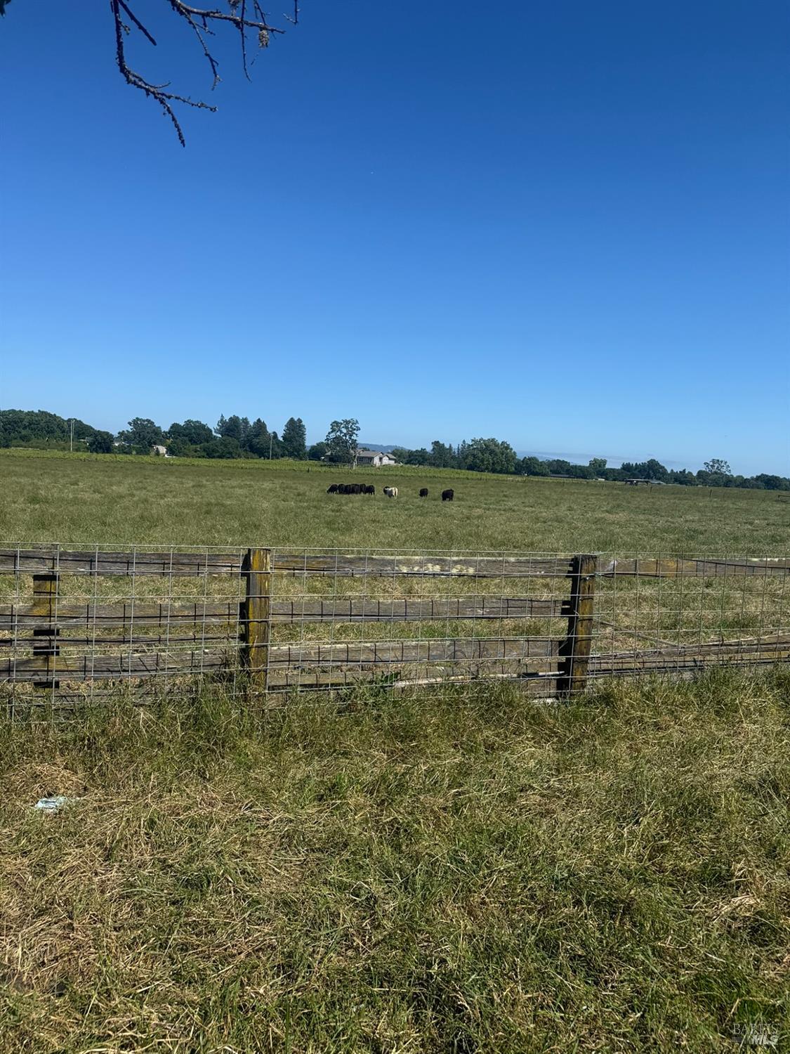 Property photo 43