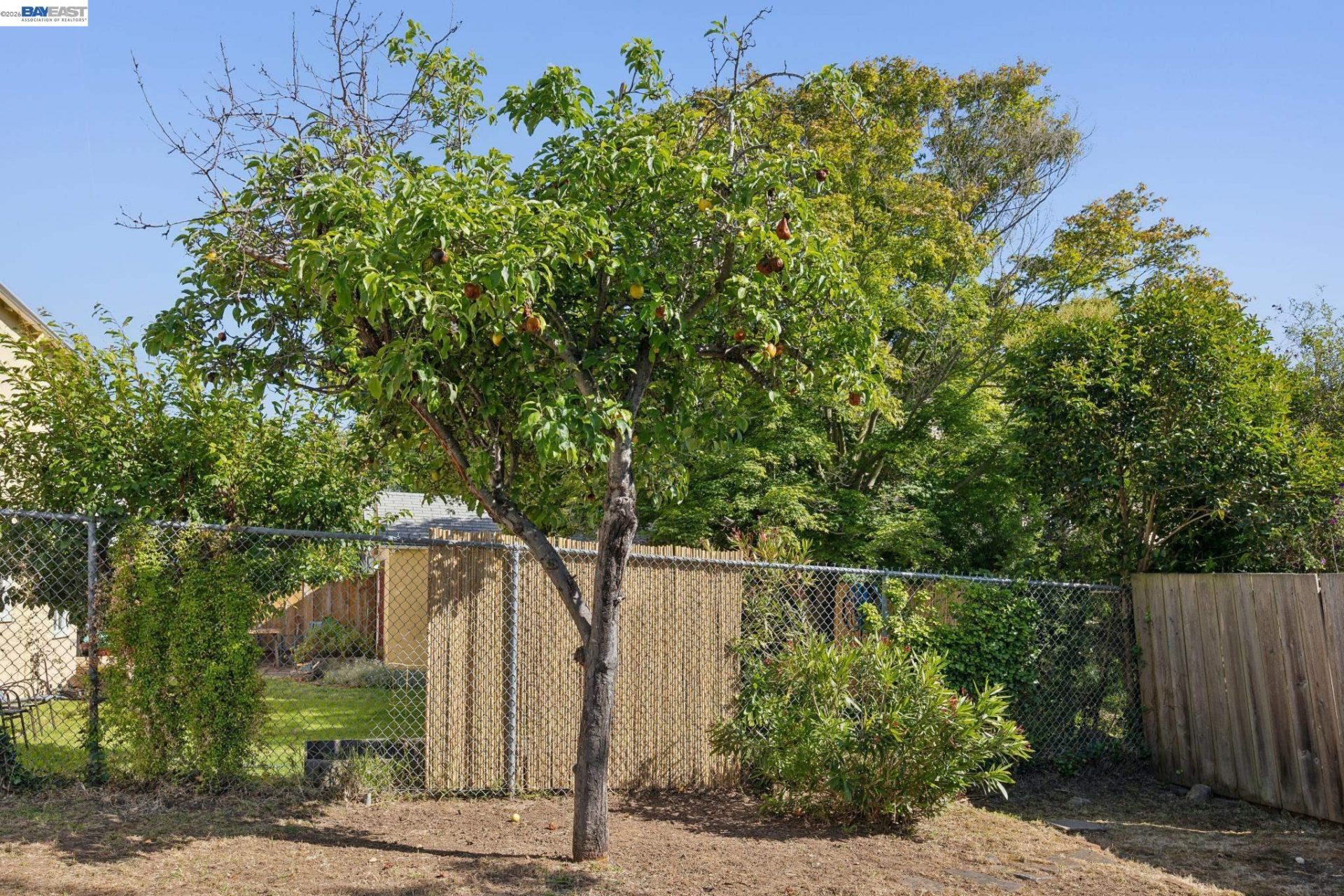 Property photo 51