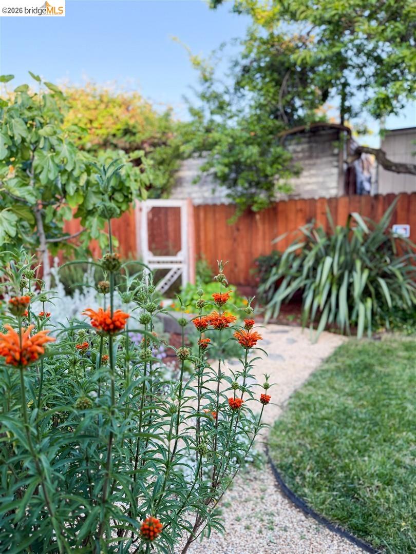 Property photo 38