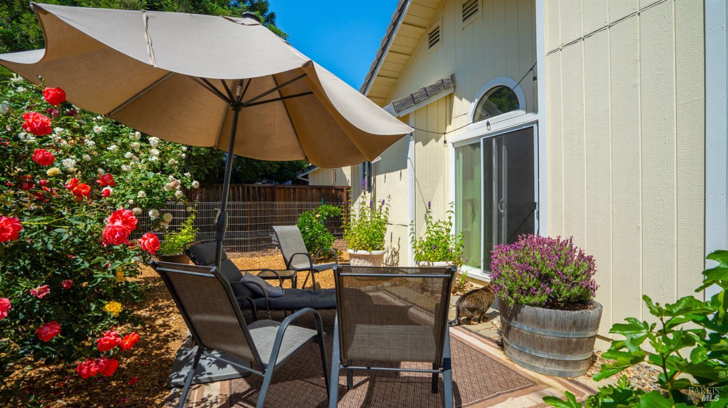 Property photo 38