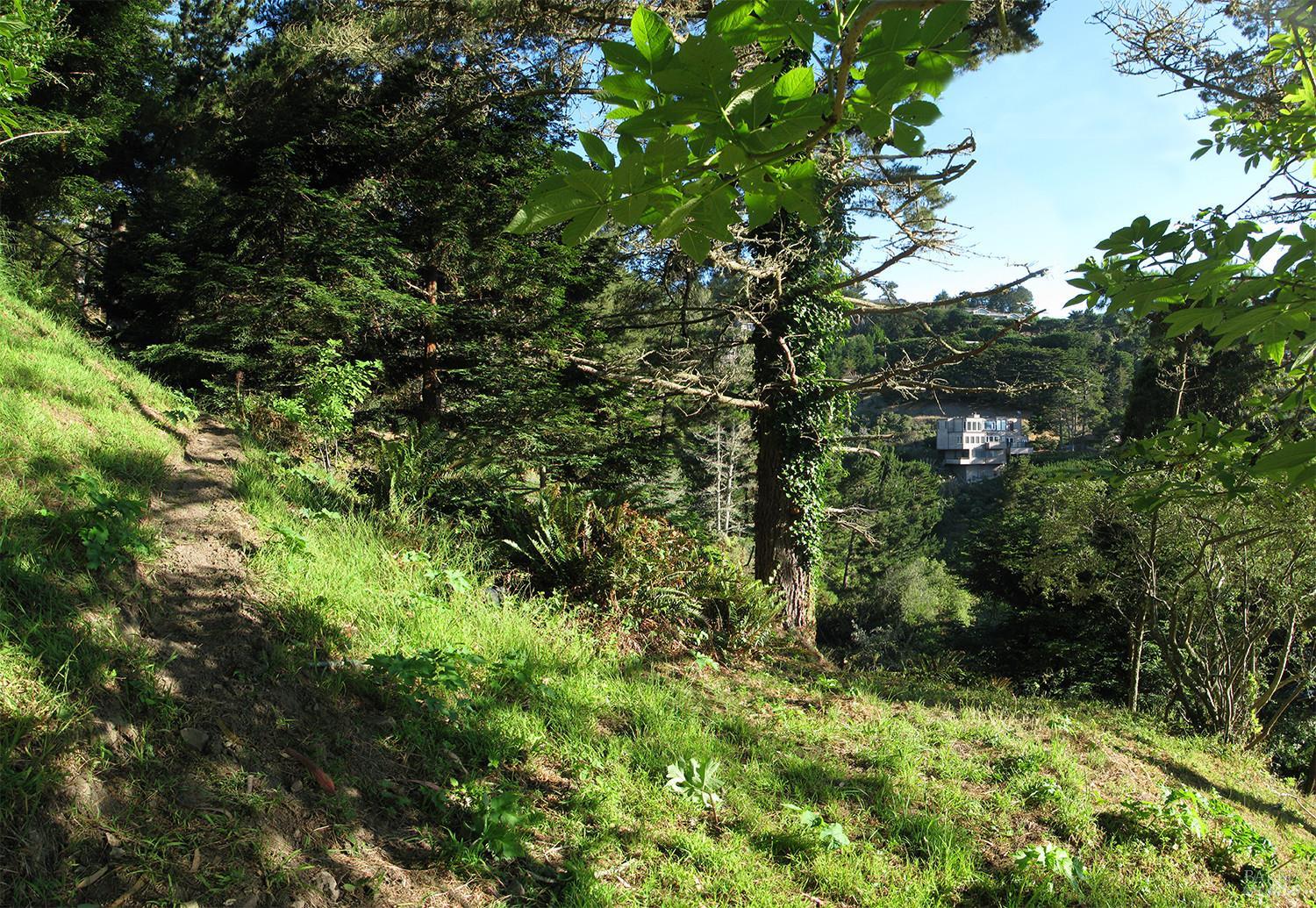 Property photo 13