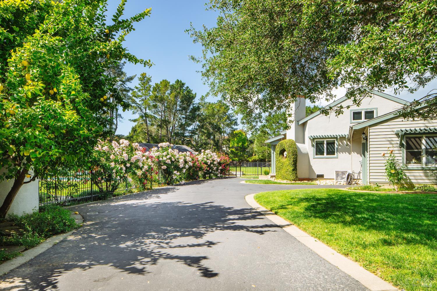 Property photo 43