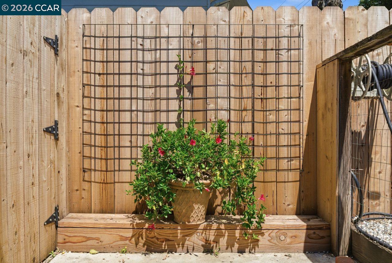 Property photo 48