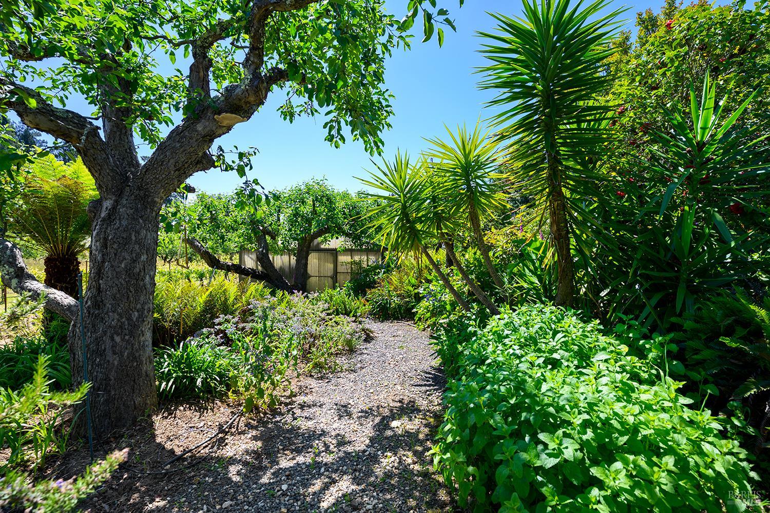 Property photo 42