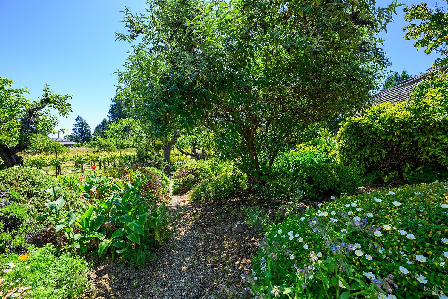 Property photo 43
