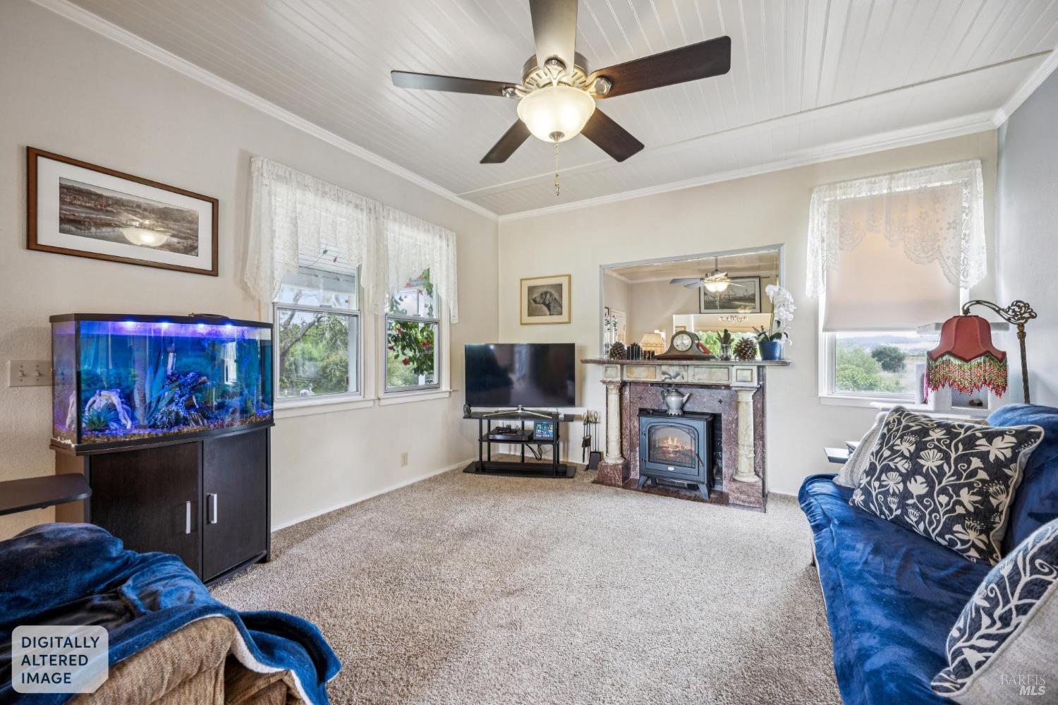 Property photo 23