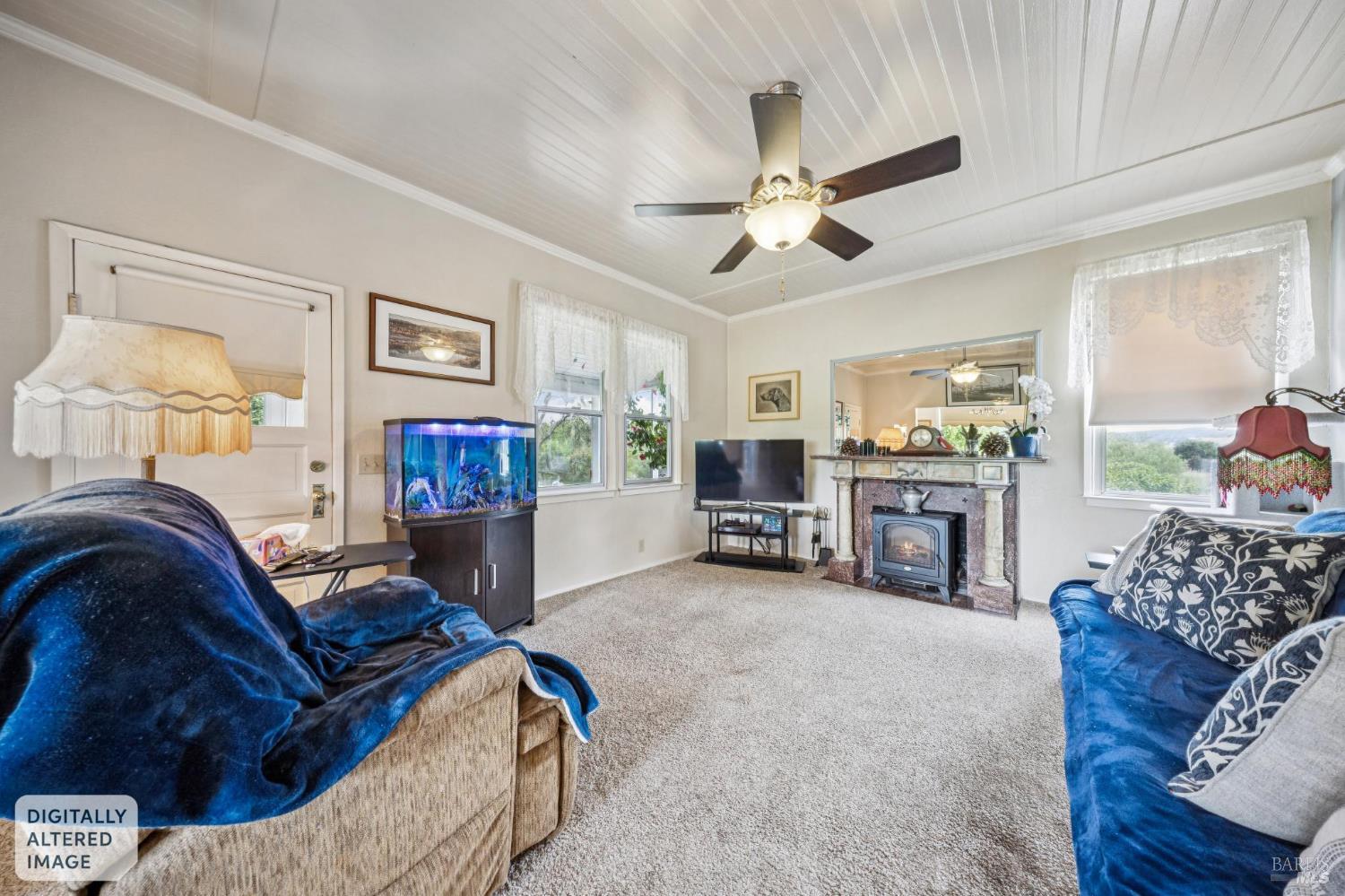 Property photo 24