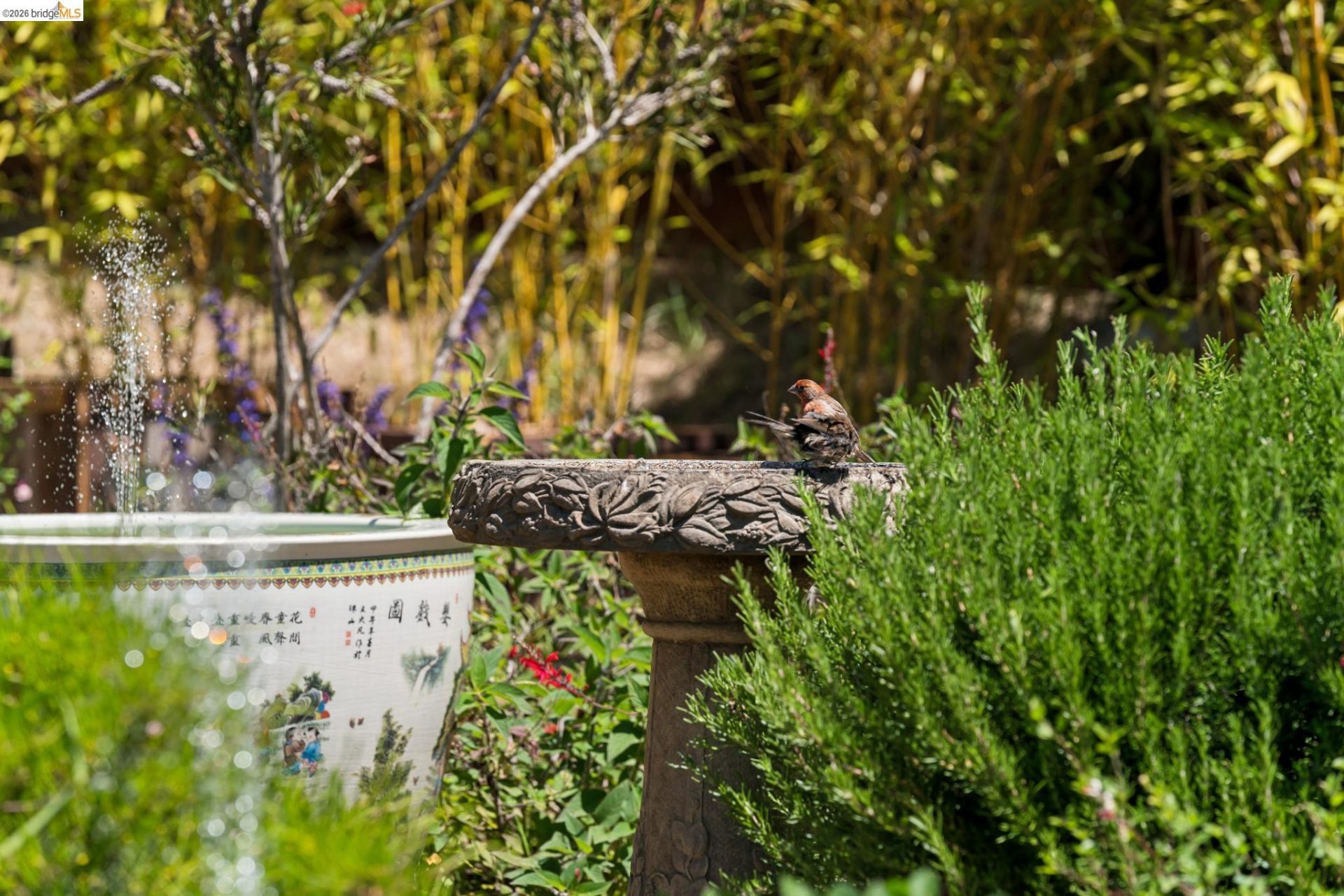 Property photo 49
