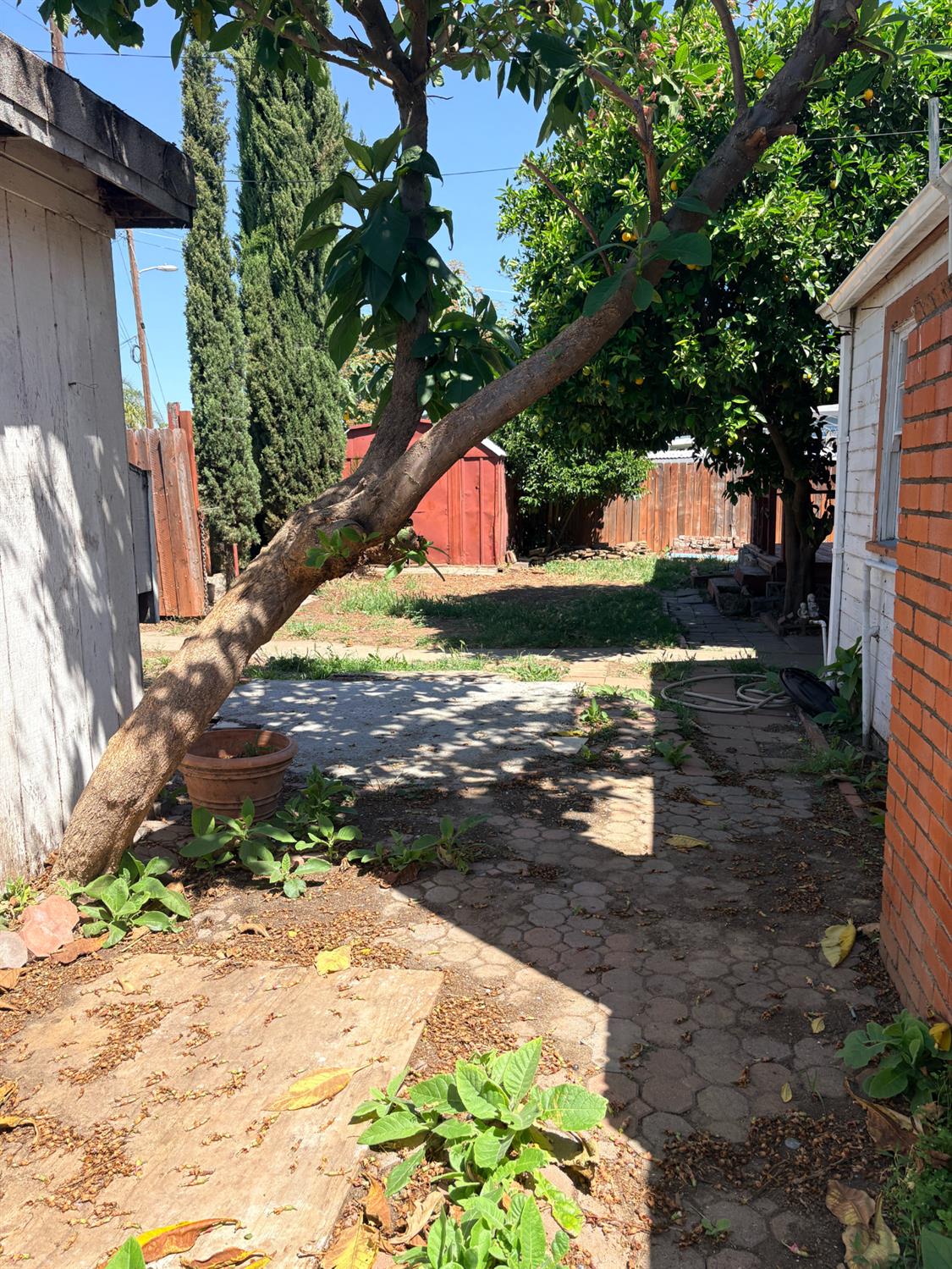 Property photo 44