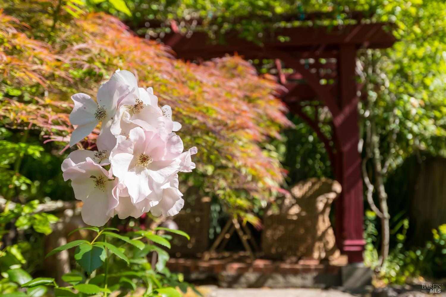 Property photo 42