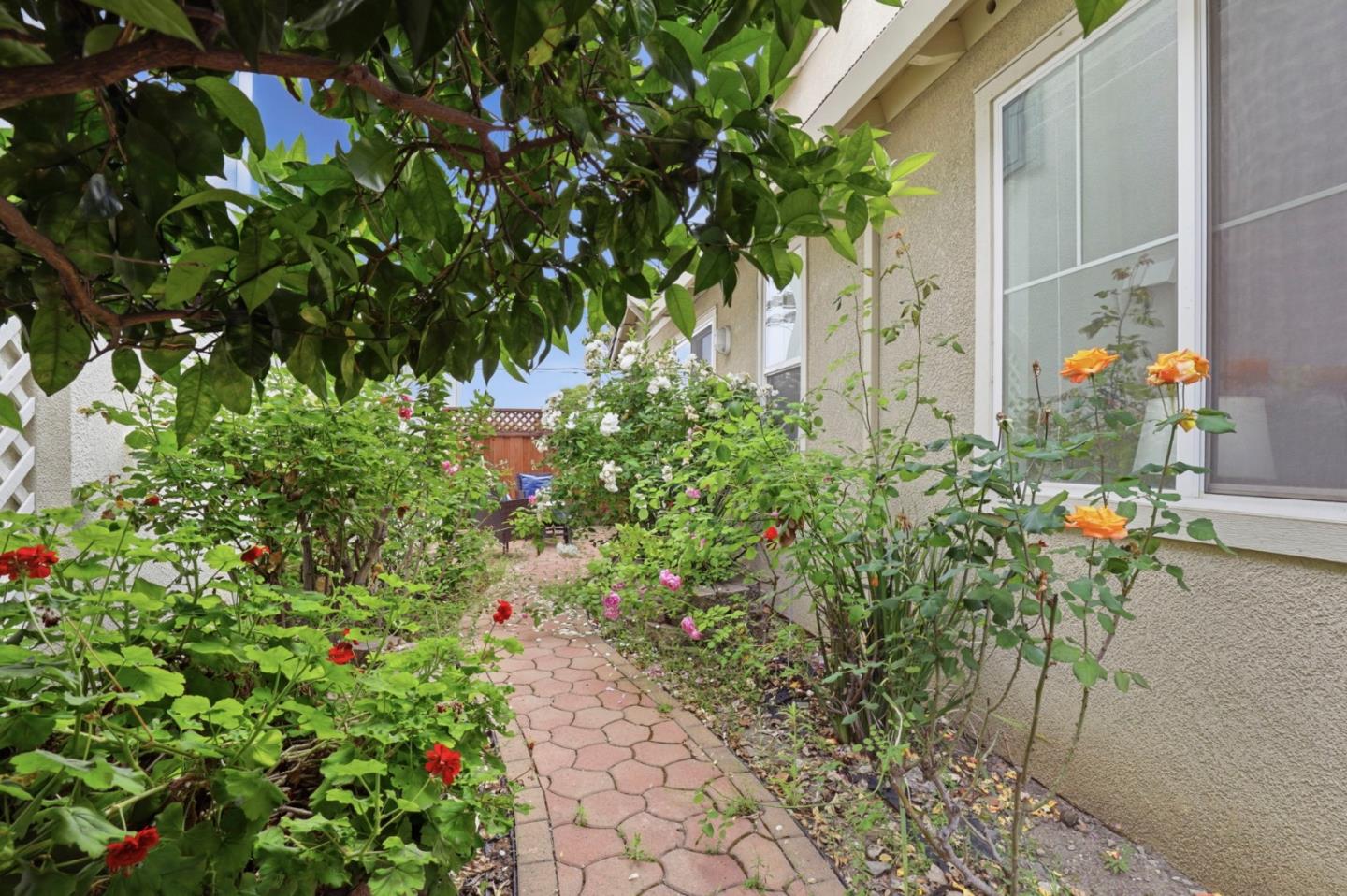 Property photo 39