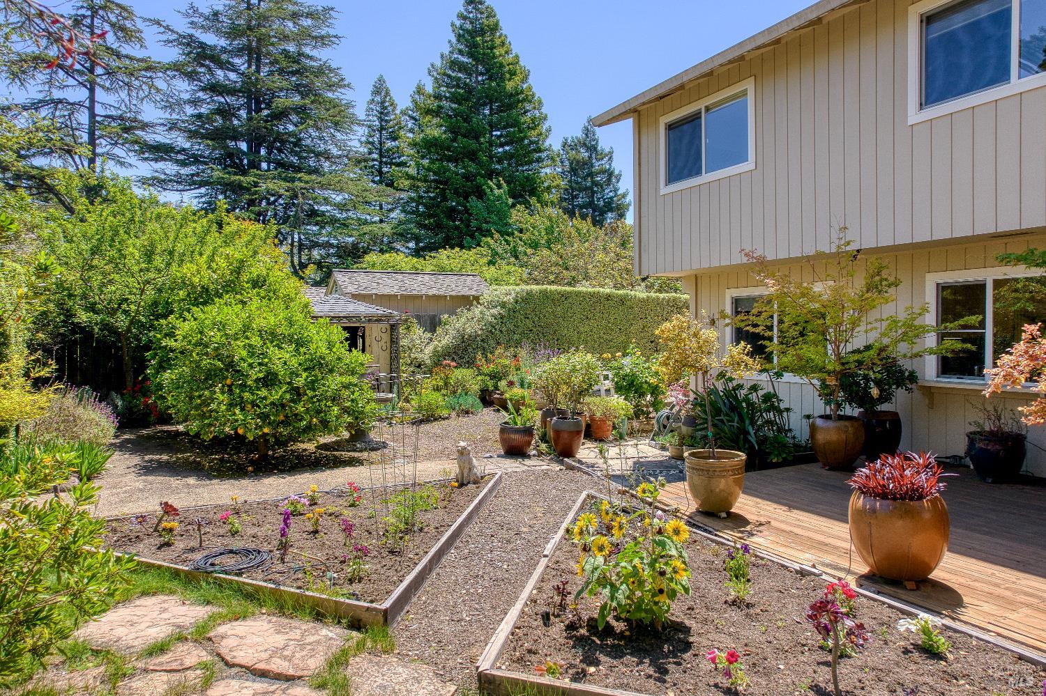 Property photo 40