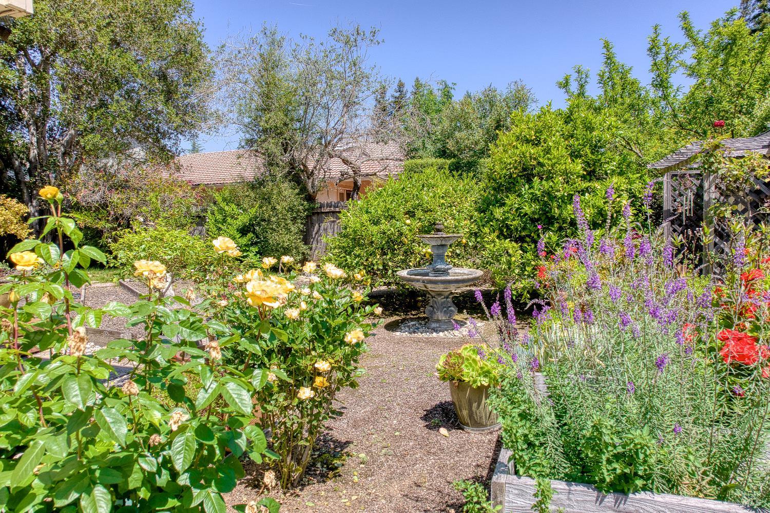 Property photo 44