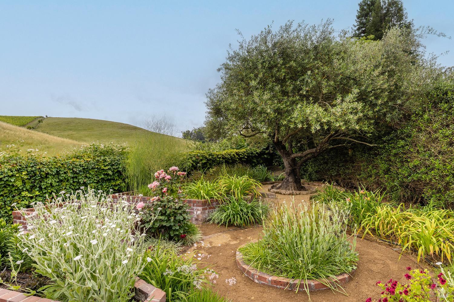 Property photo 43