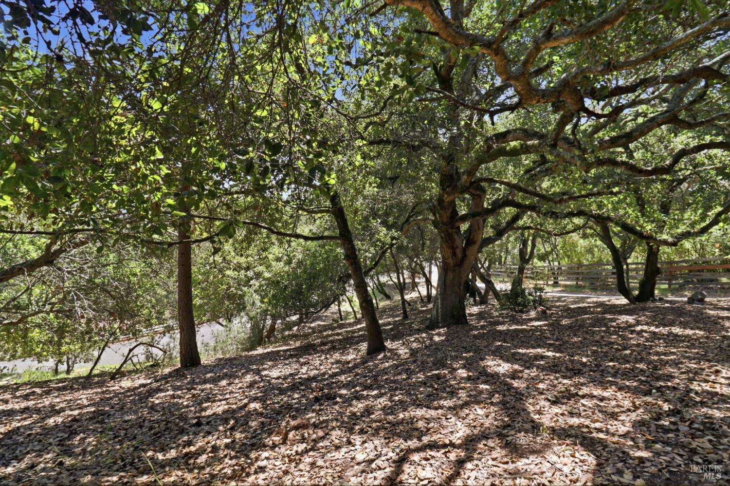 Property photo 43