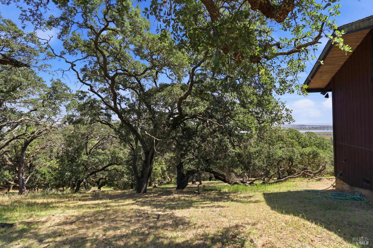 Property photo 44