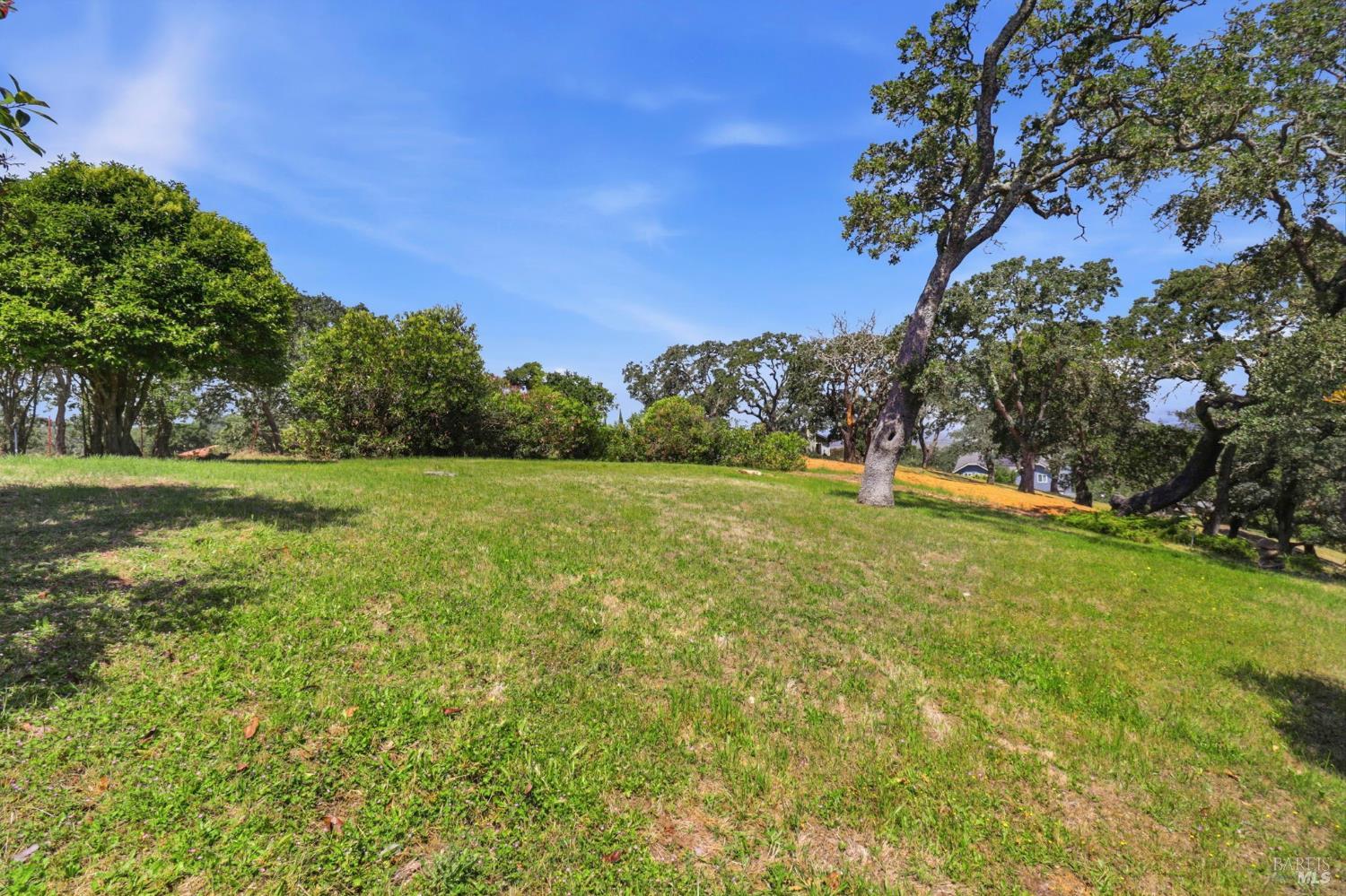Property photo 45