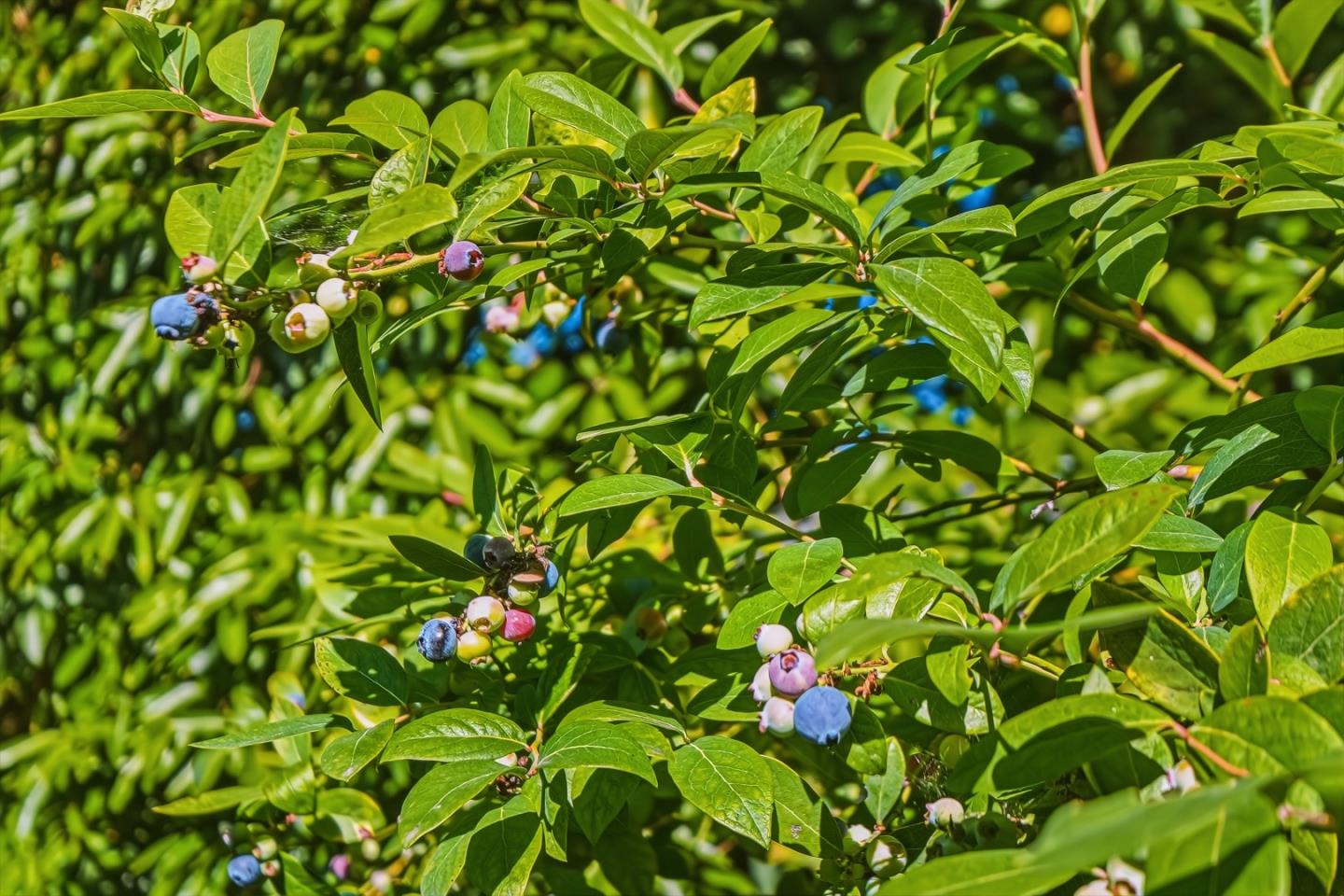 Property photo 45