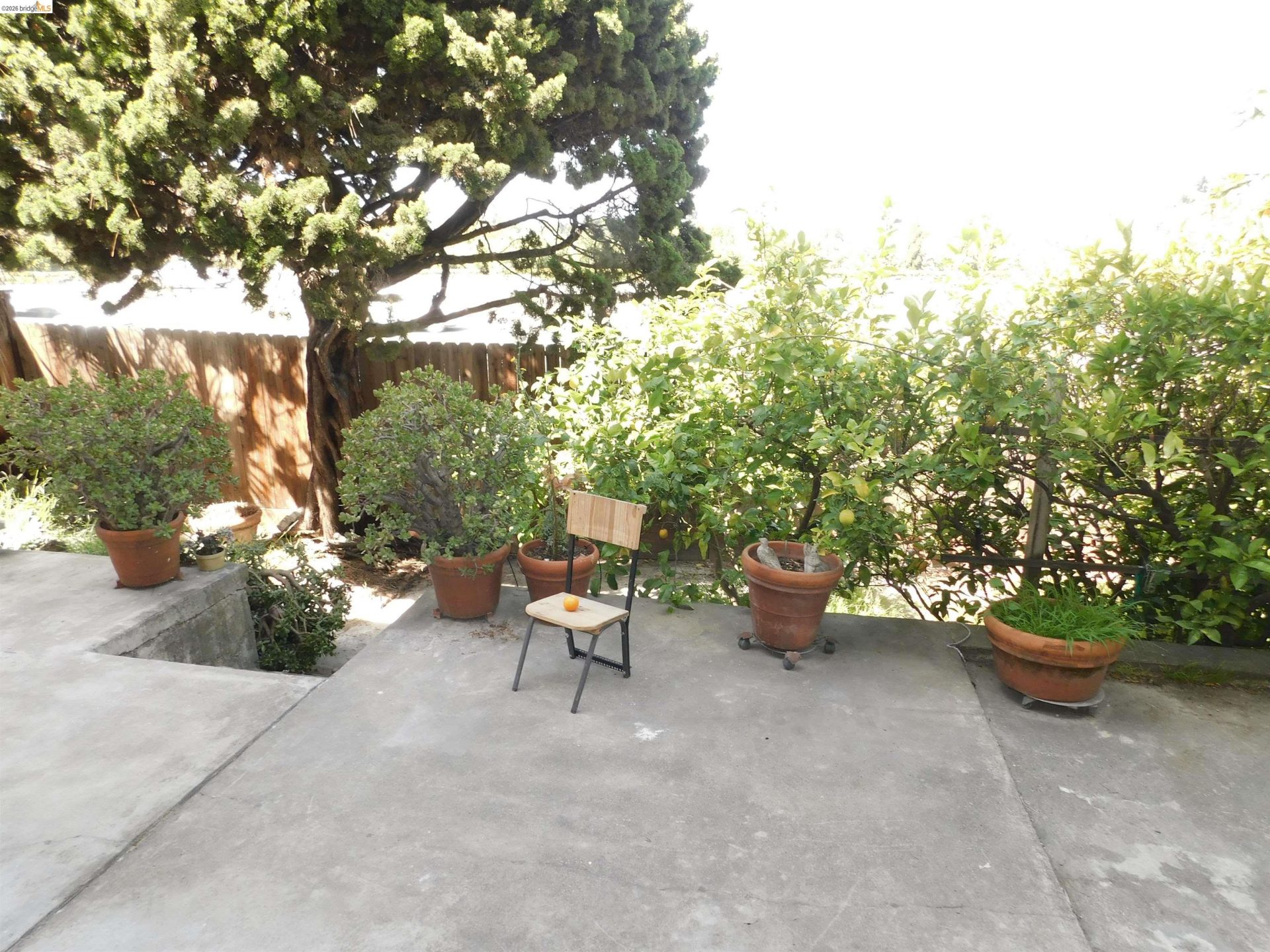 Property photo 23