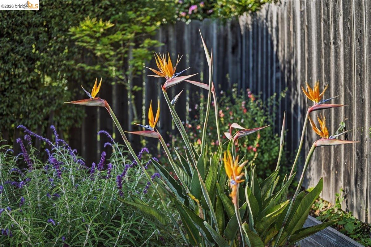 Property photo 44