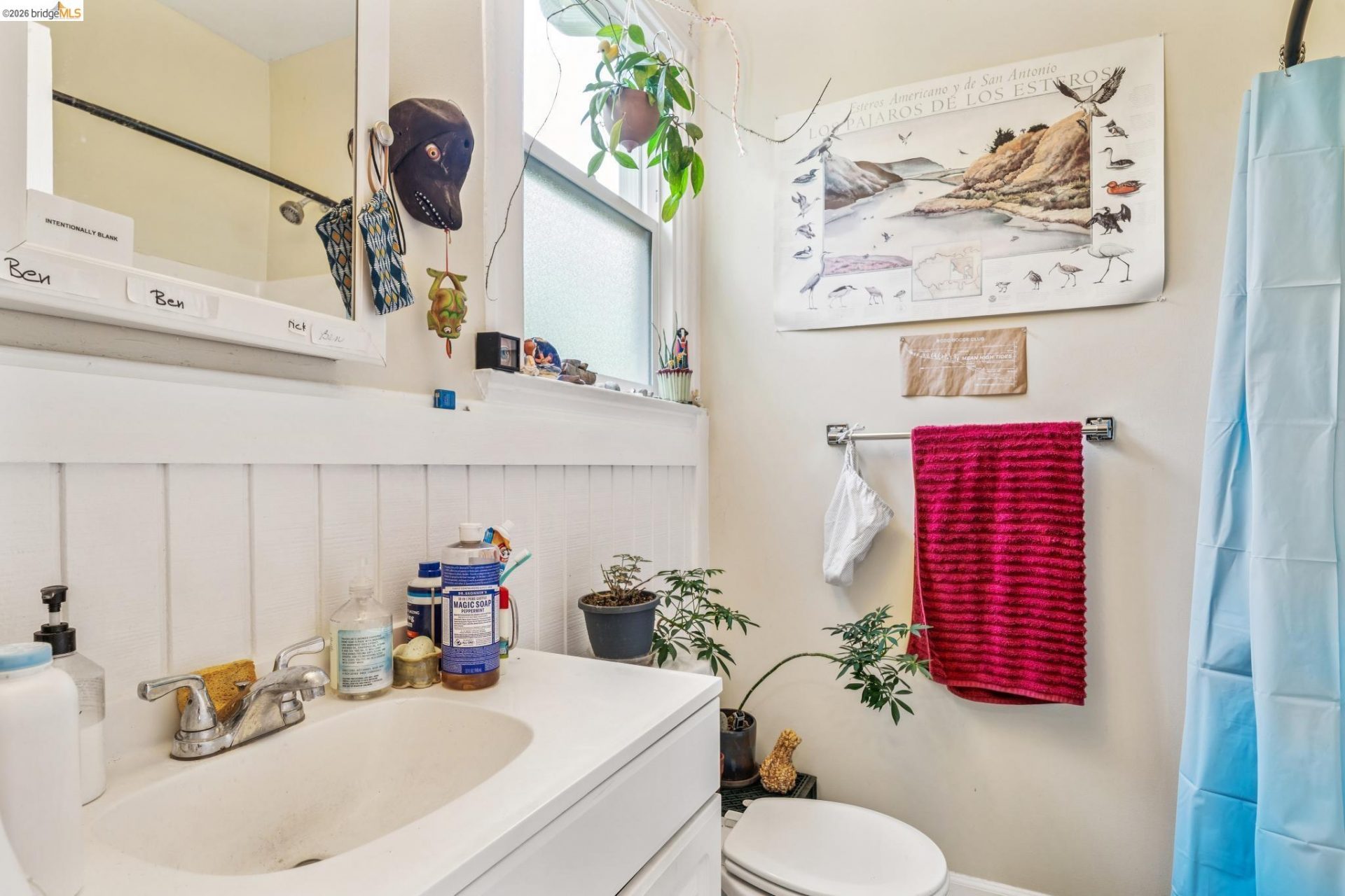 Property photo 50