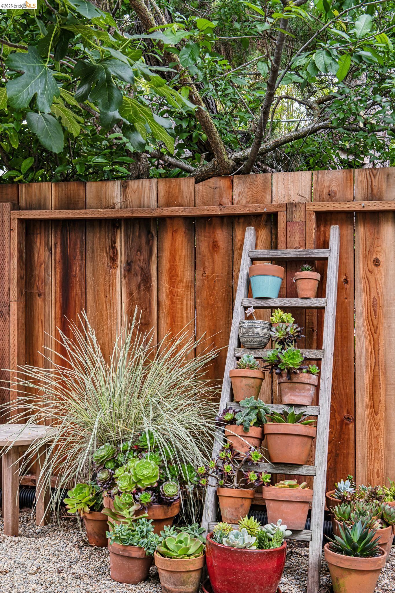 Property photo 42