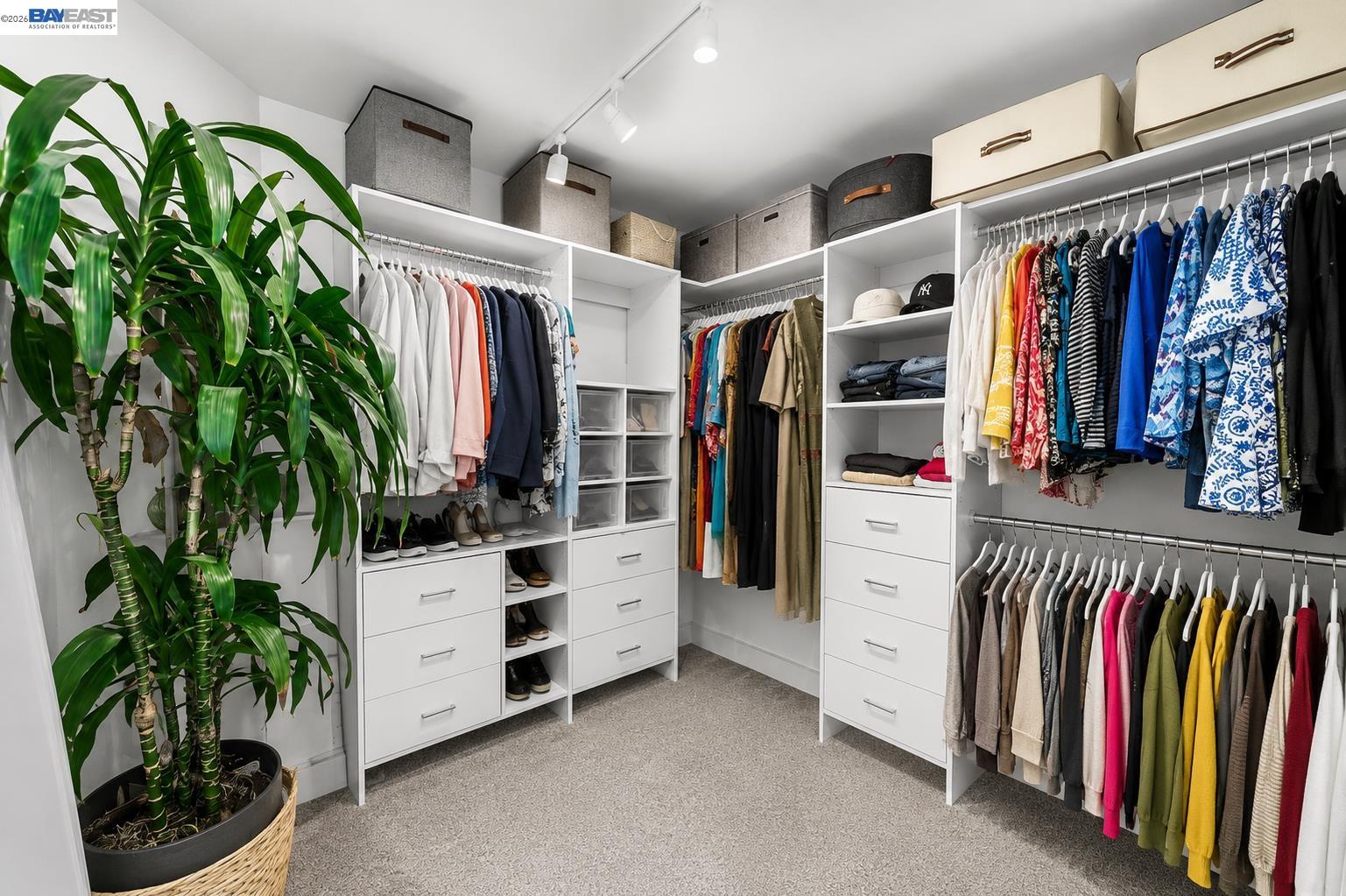 Property photo 50