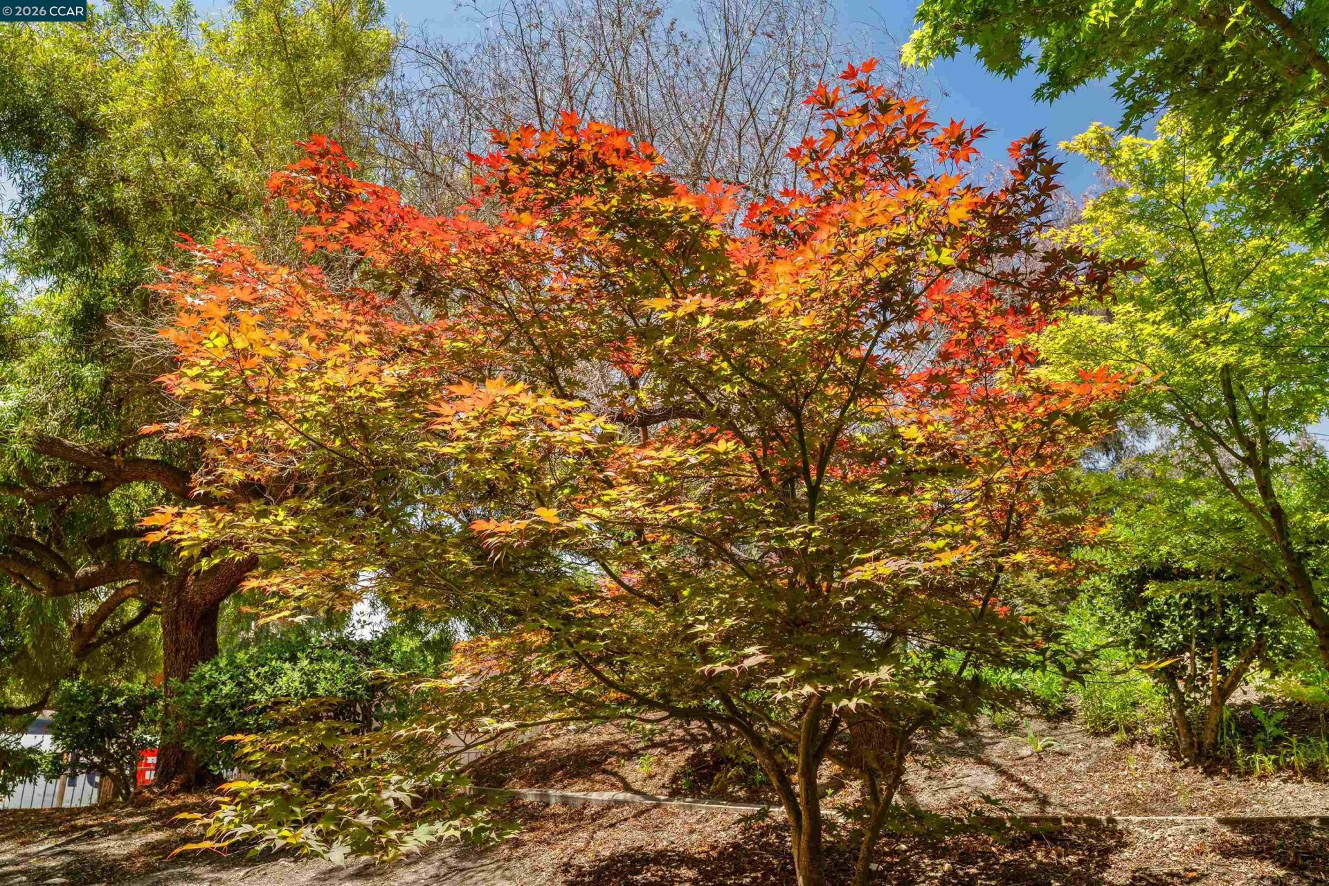 Property photo 20
