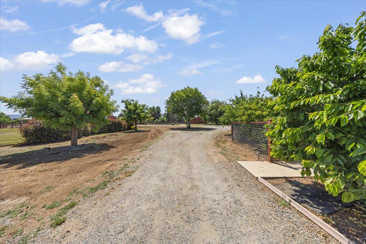 Property photo 49