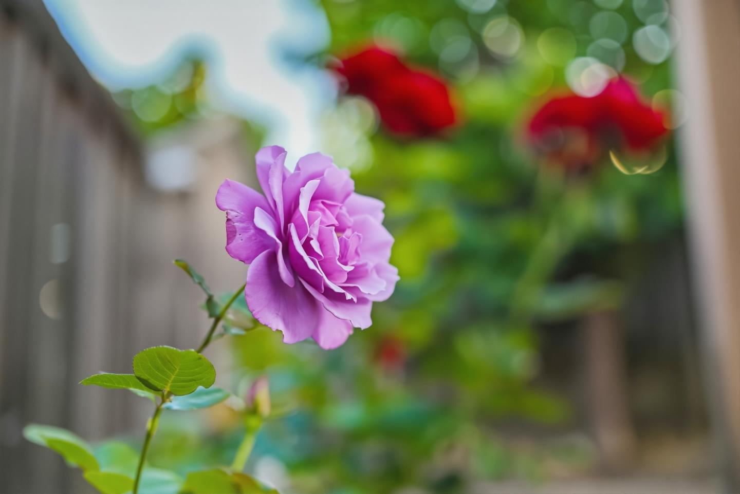 Property photo 41