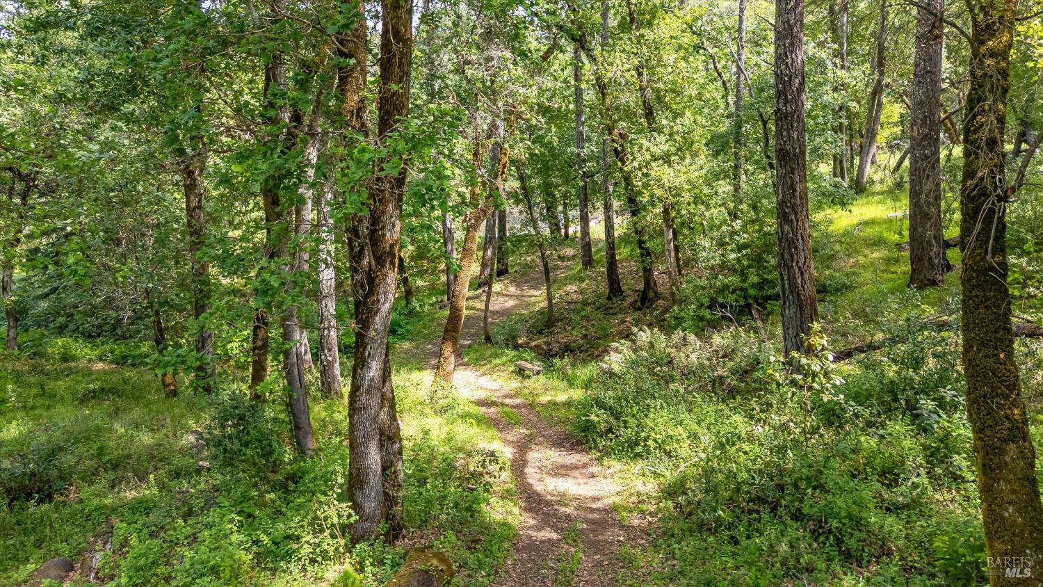 Property photo 26