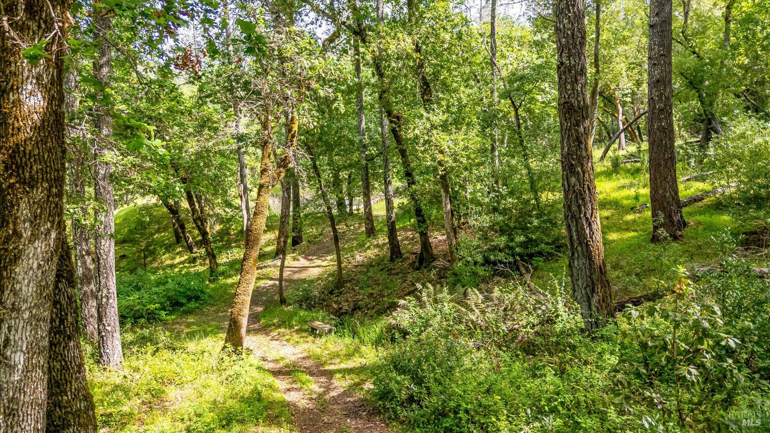 Property photo 27