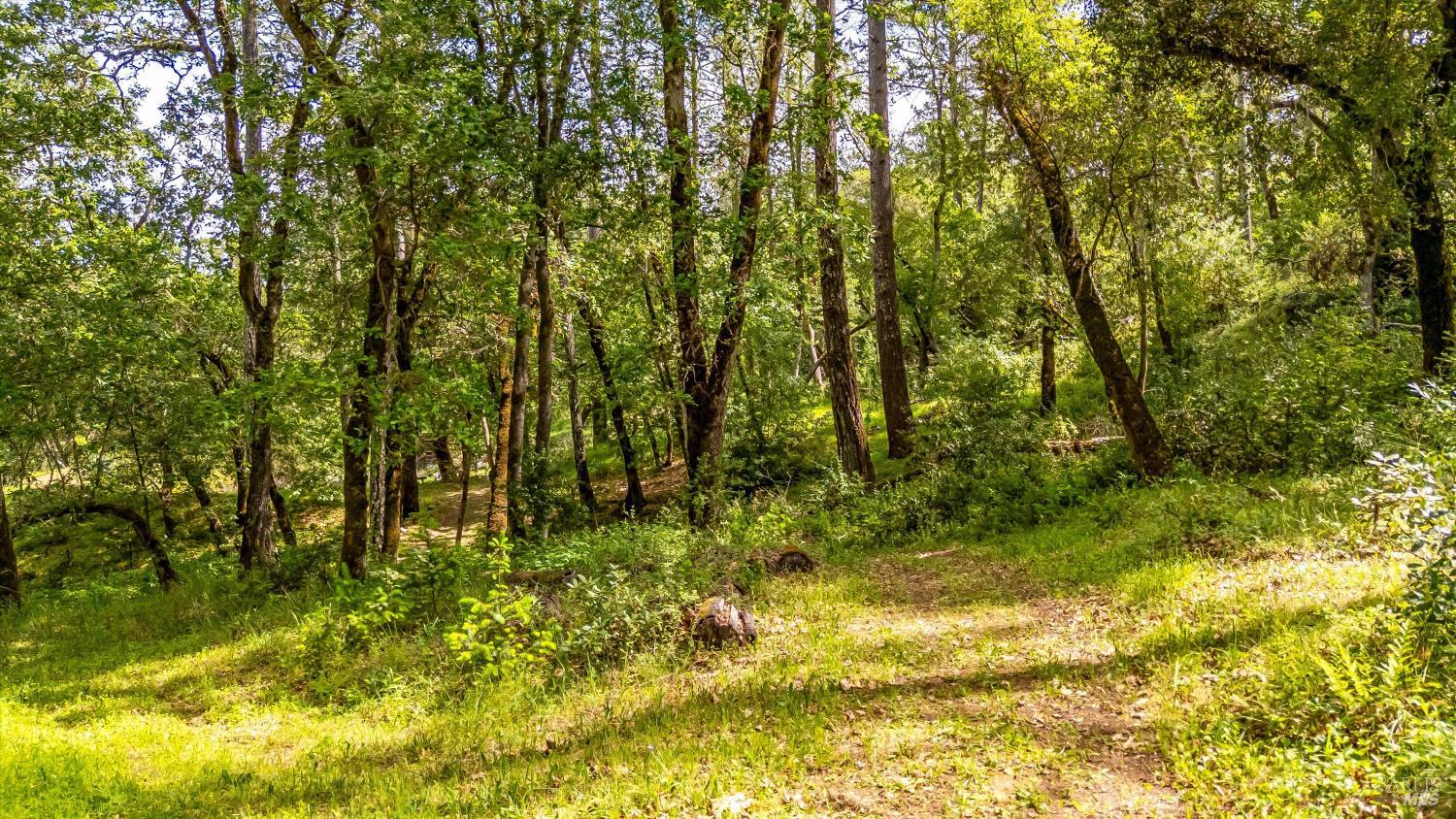 Property photo 28