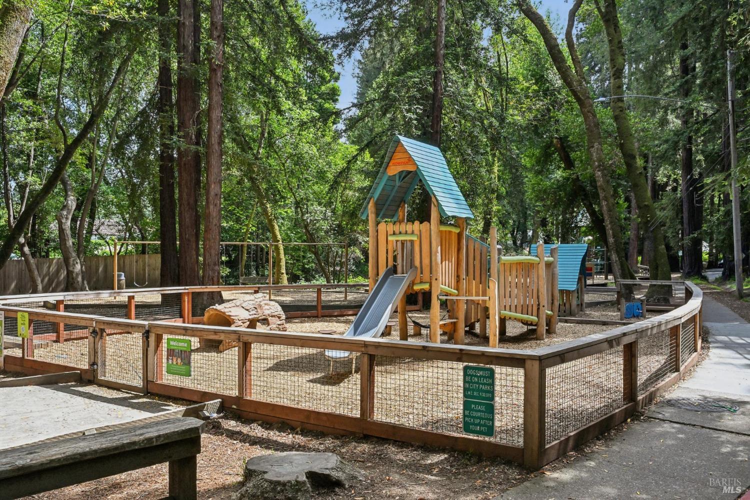 Property photo 41
