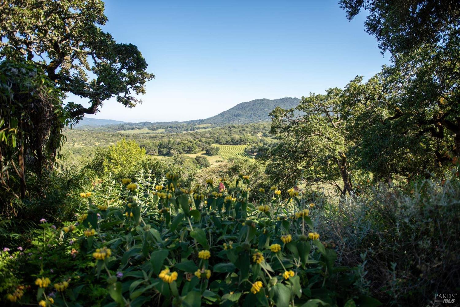 Property photo 50