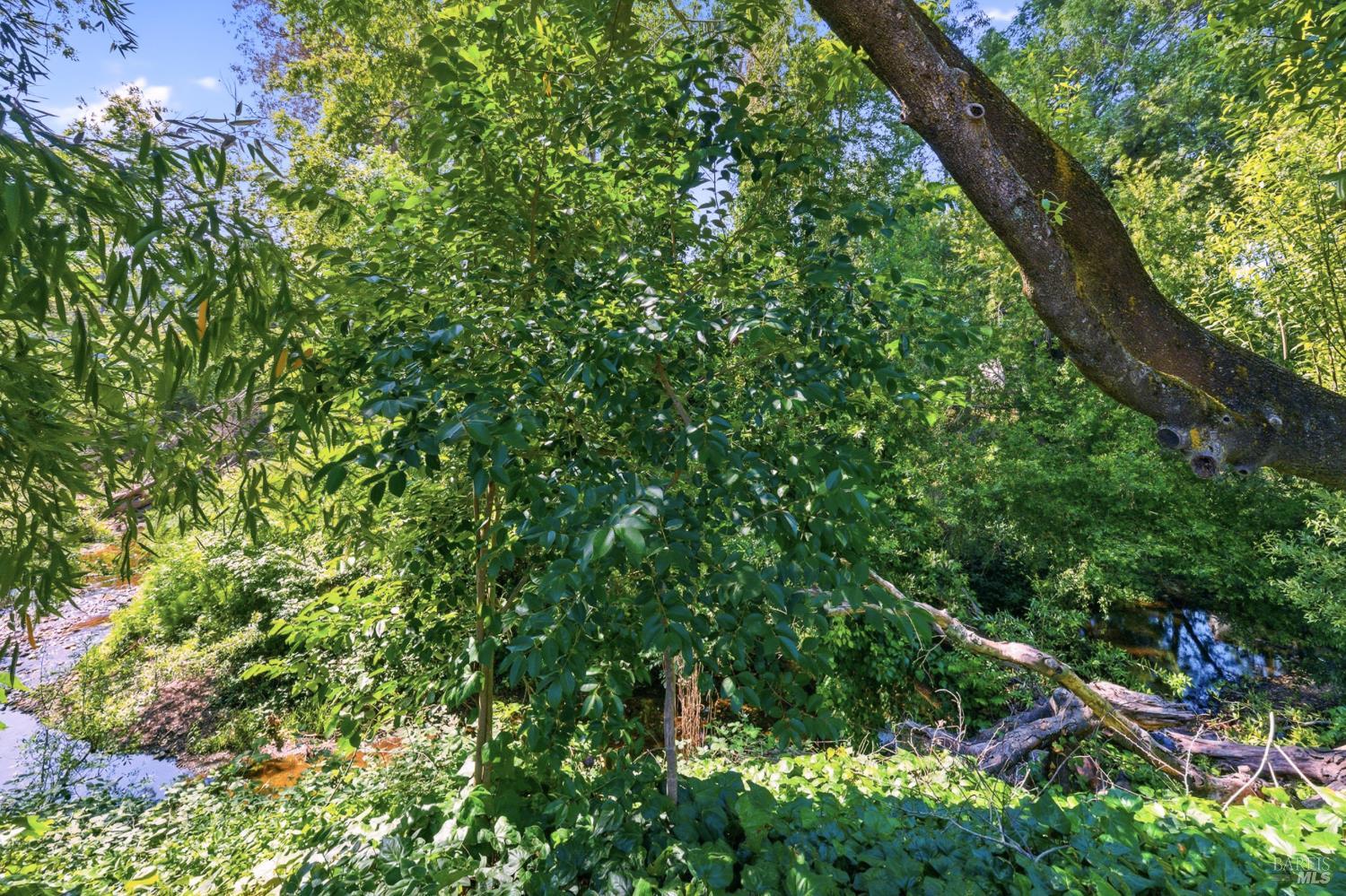 Property photo 41