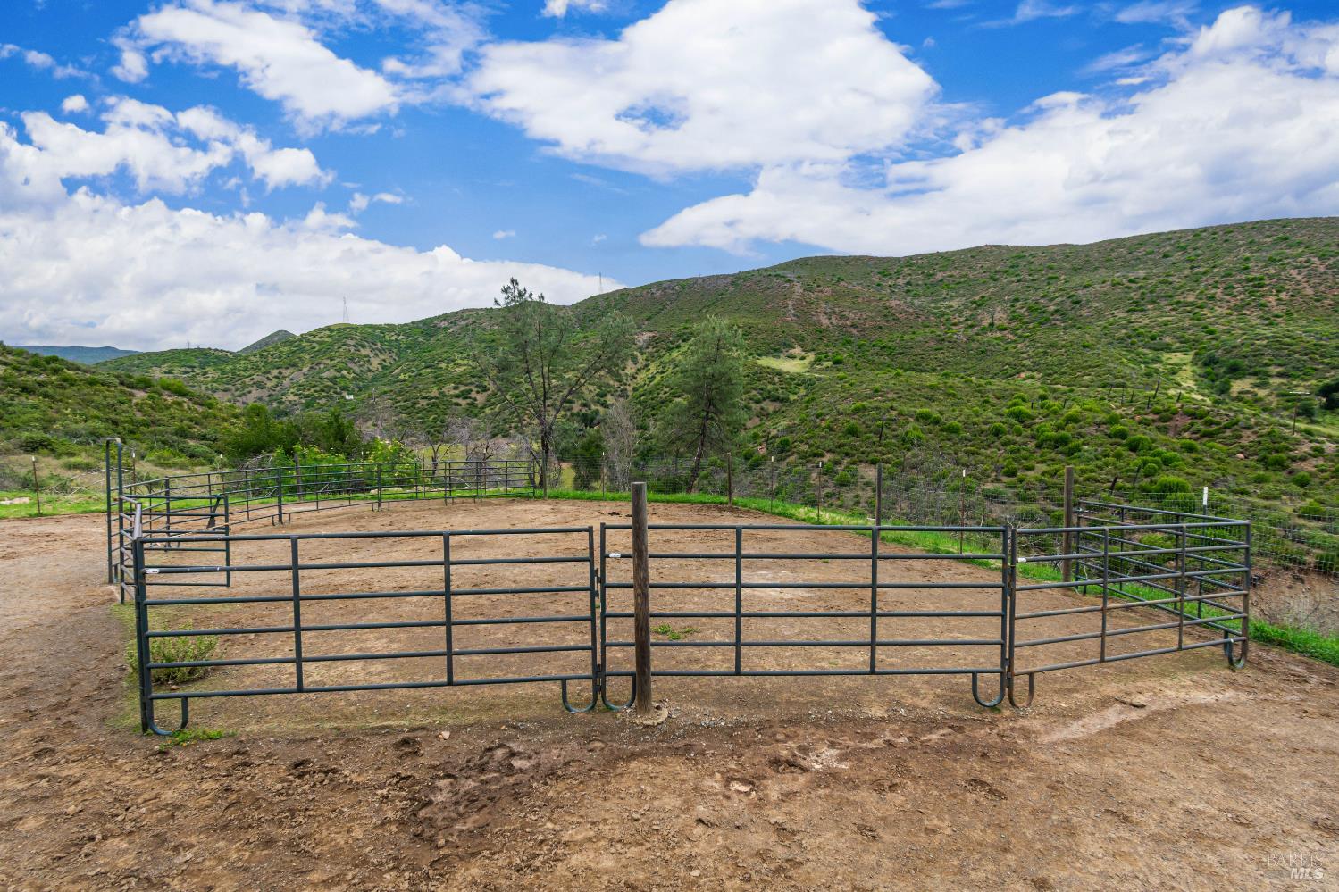 Property photo 44