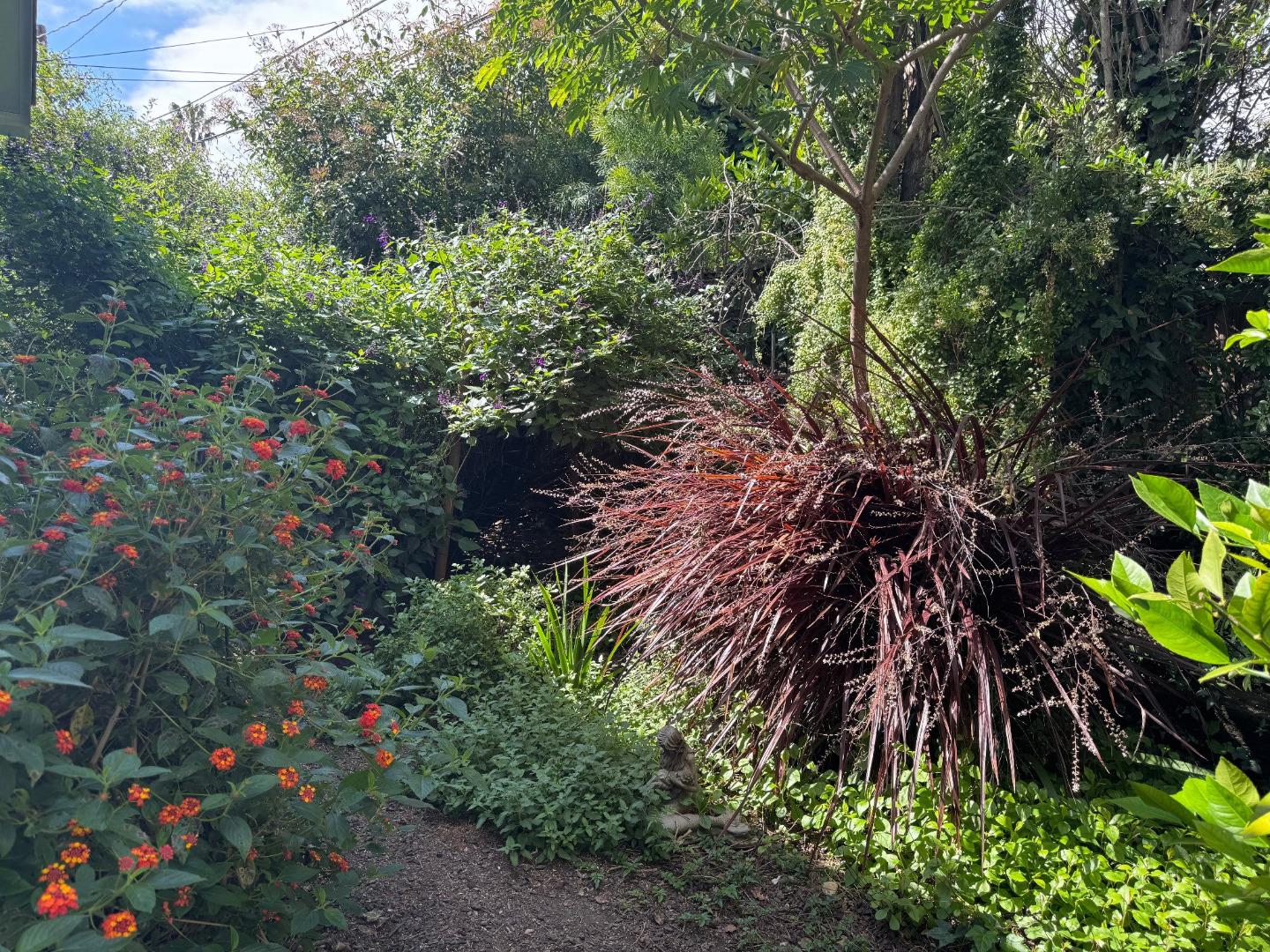 Property photo 31