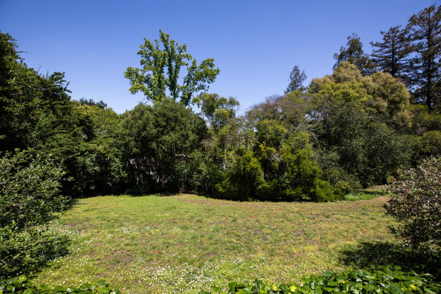 Property photo 46