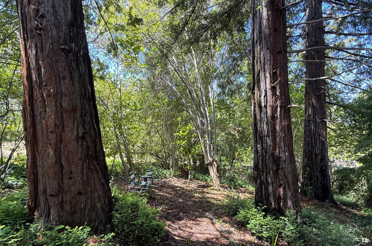 Property photo 48
