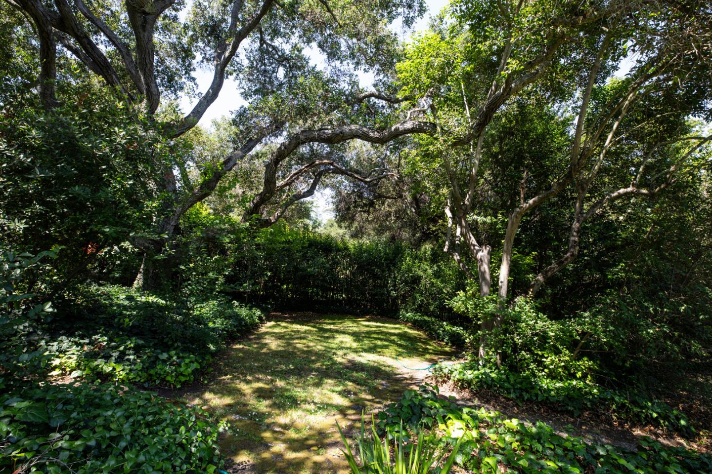 Property photo 49