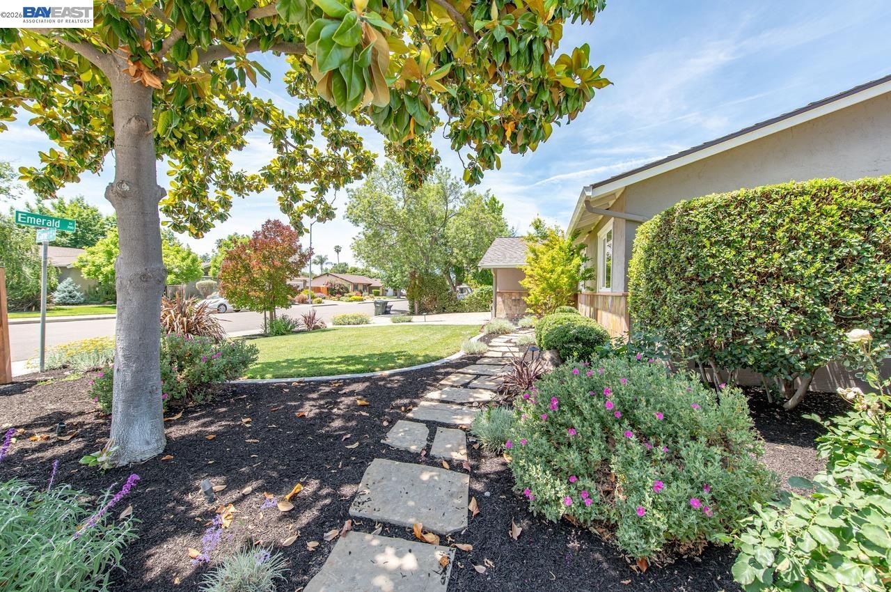 Property photo 46