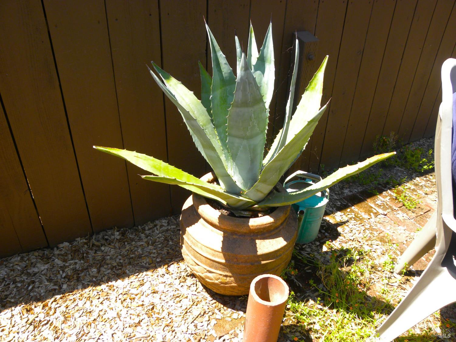 Property photo 21
