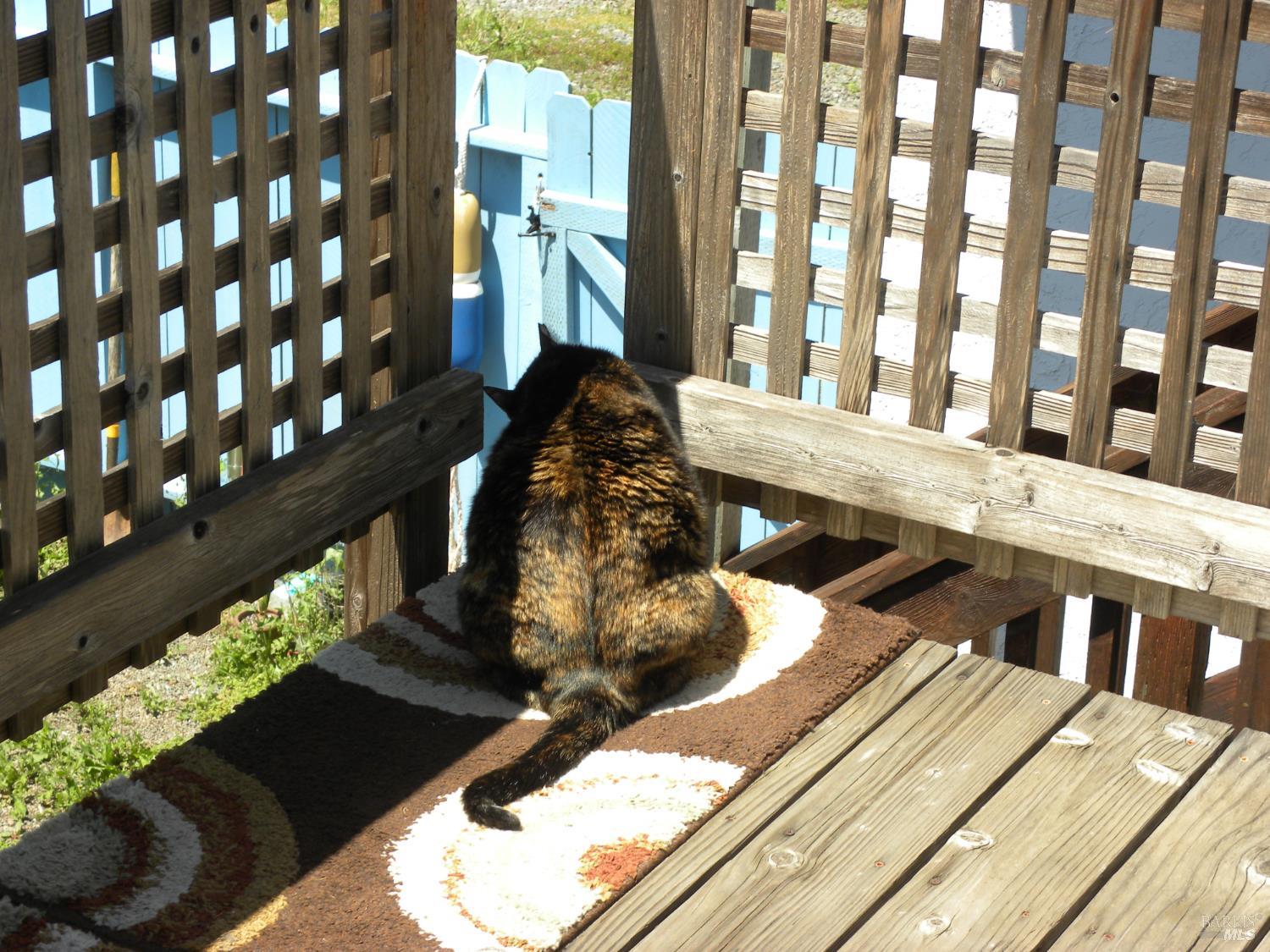 Property photo 26