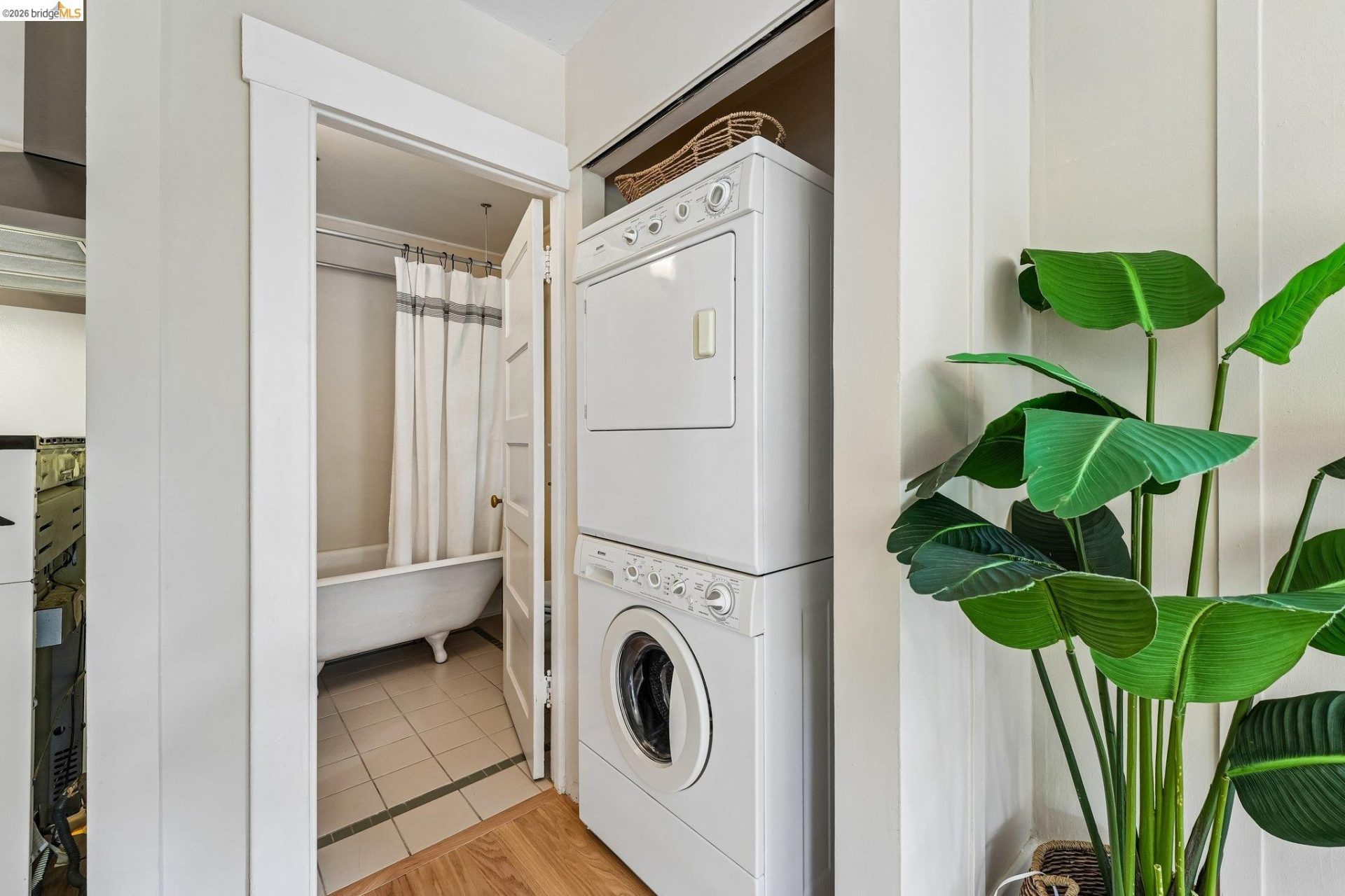 Property photo 47