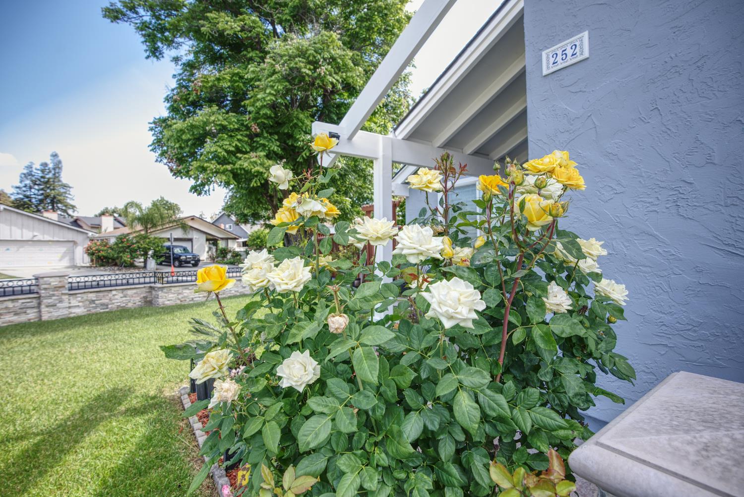 Property photo 36