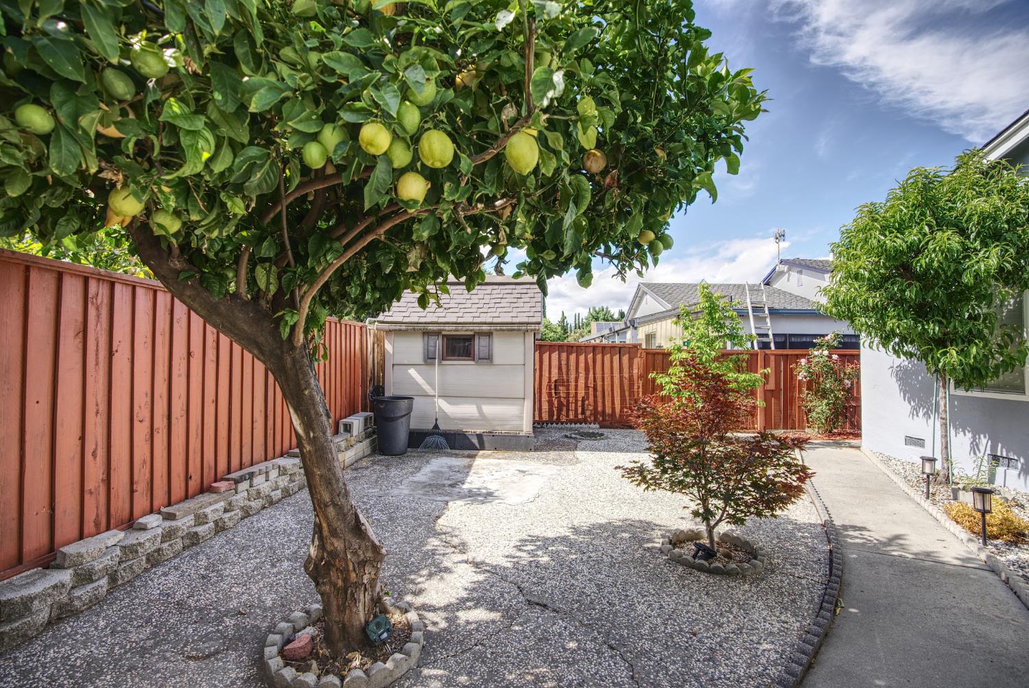 Property photo 38