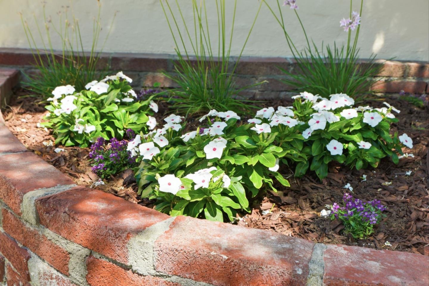Property photo 45