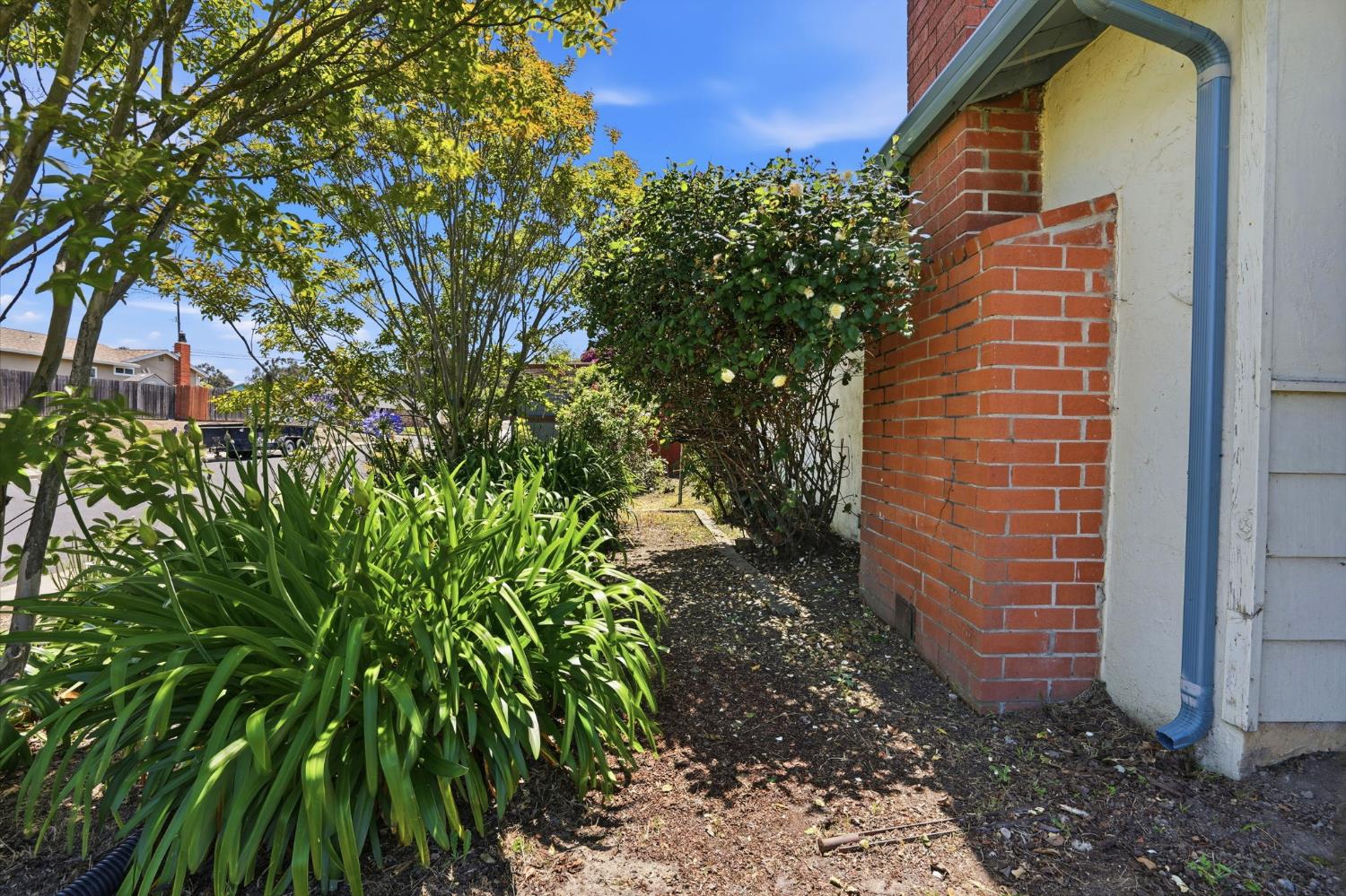 Property photo 42