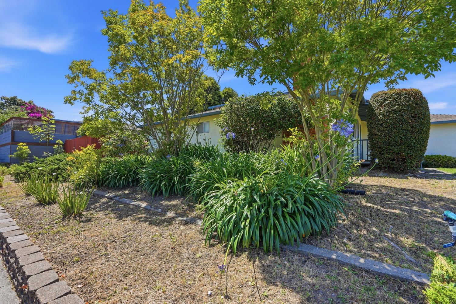 Property photo 43
